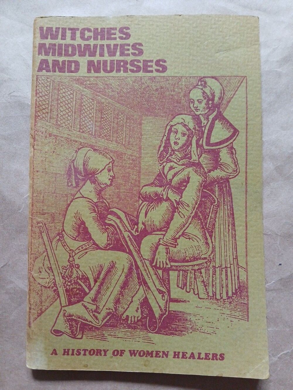 Witches, Midwives and Nurses: A History of Women Healers by Deirdre English